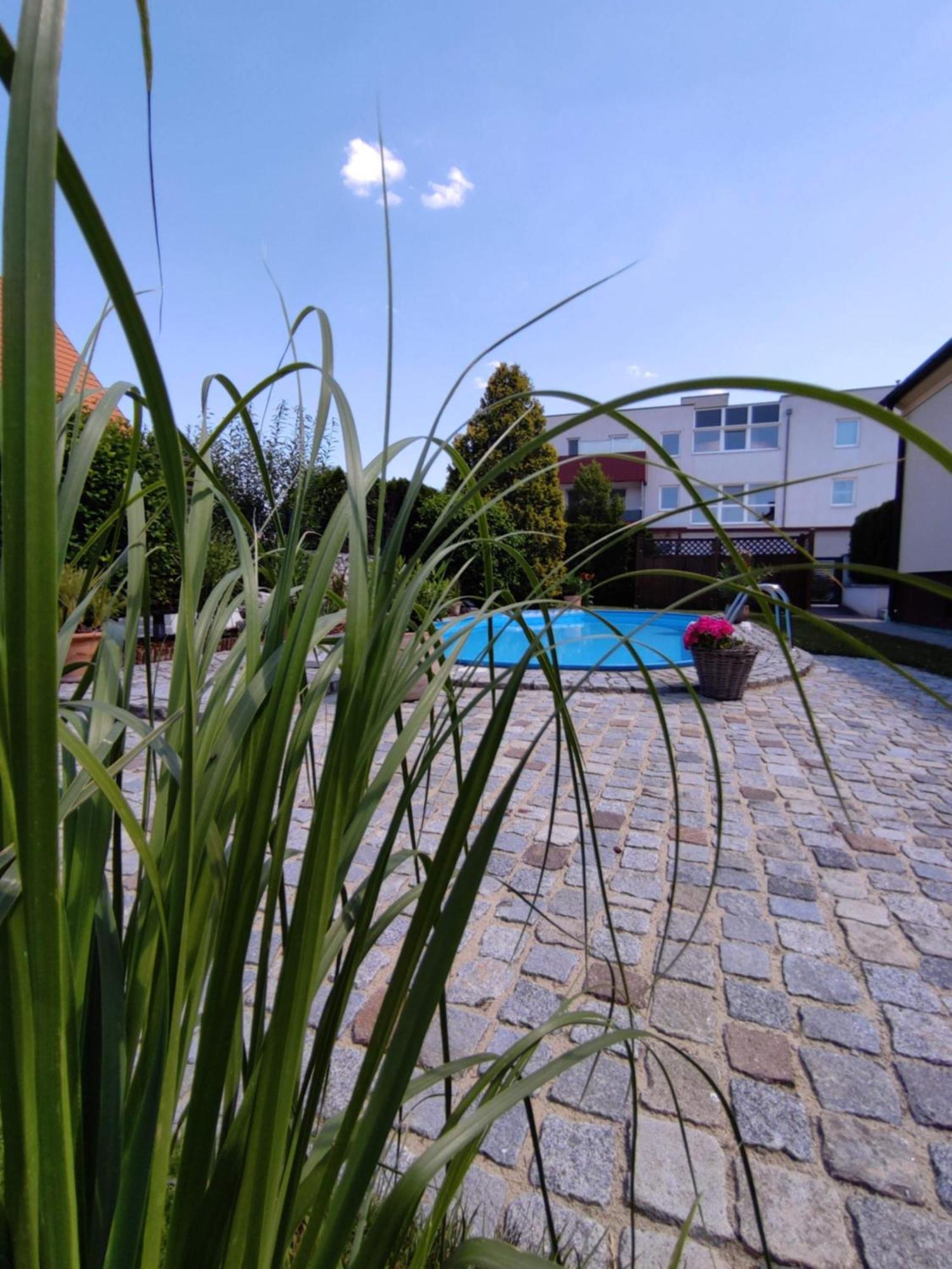 Appartement Ferienhaus Sonnenhain Sollenau Exterior foto